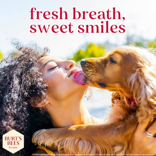 Burt's Bees for Pets Peppermint Puppy Dental Kit with Toothbrush & Toothpaste, 2.5 Oz - image 9