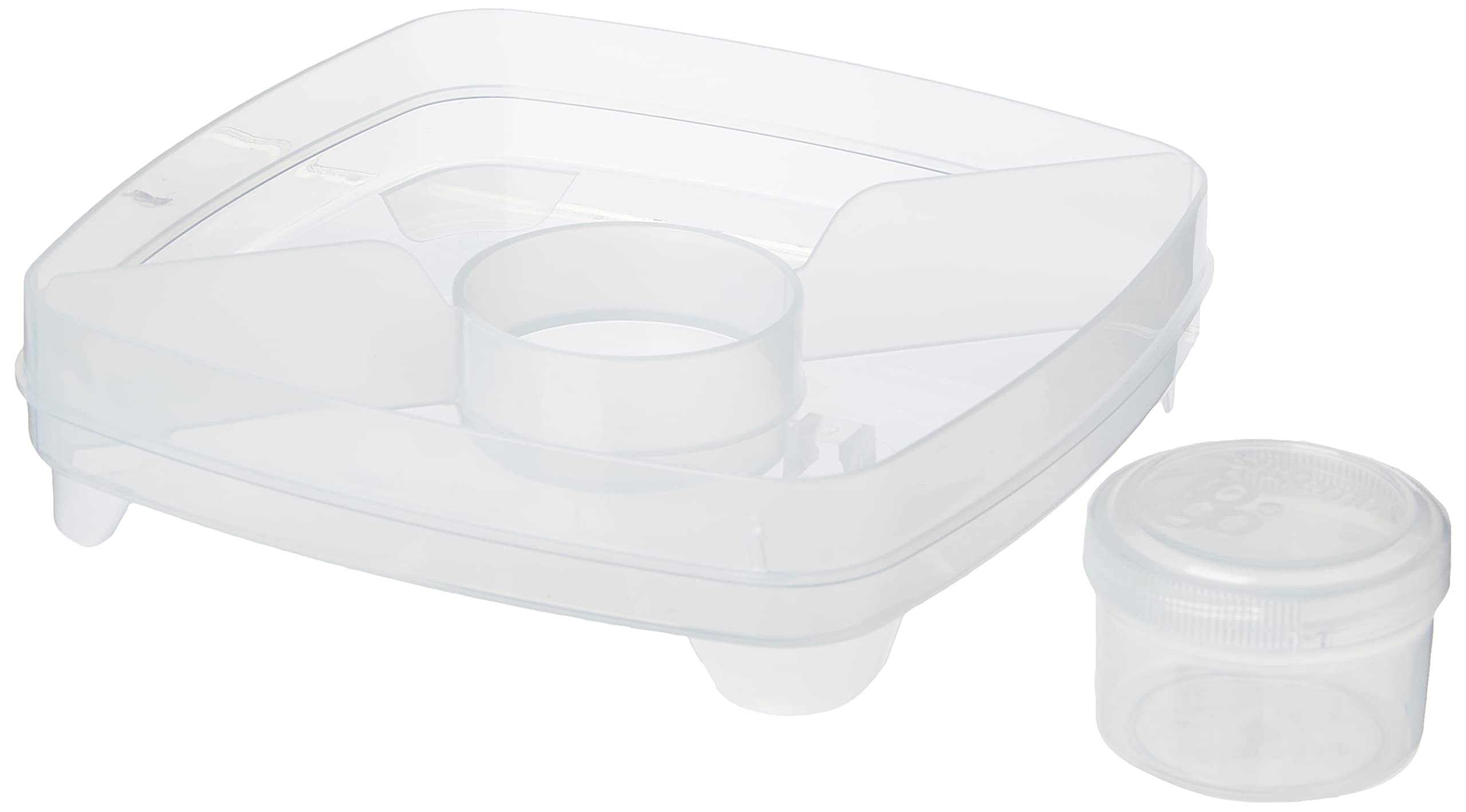 Buy Sistema Salad Container for Lunch with Dressing Container, Bento