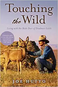 Touching the Wild: Living with the Mule Deer of Deadman Gulch book cover