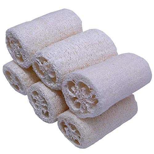 Villine Natural Loofah Sponge Bulk for DIY Homemade Exfoliating Soap Bar Making 100% Organic 6 Luffa Pack