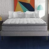 Early Bird Fusion 12-inch Hybrid Memory Foam and Spring Mattress, Cushion Firm, Bed in a Box, Cool Sleep, CertPUR-US Certified Foam, No Harmful Chemicals, Handcrafted in The USA, Queen