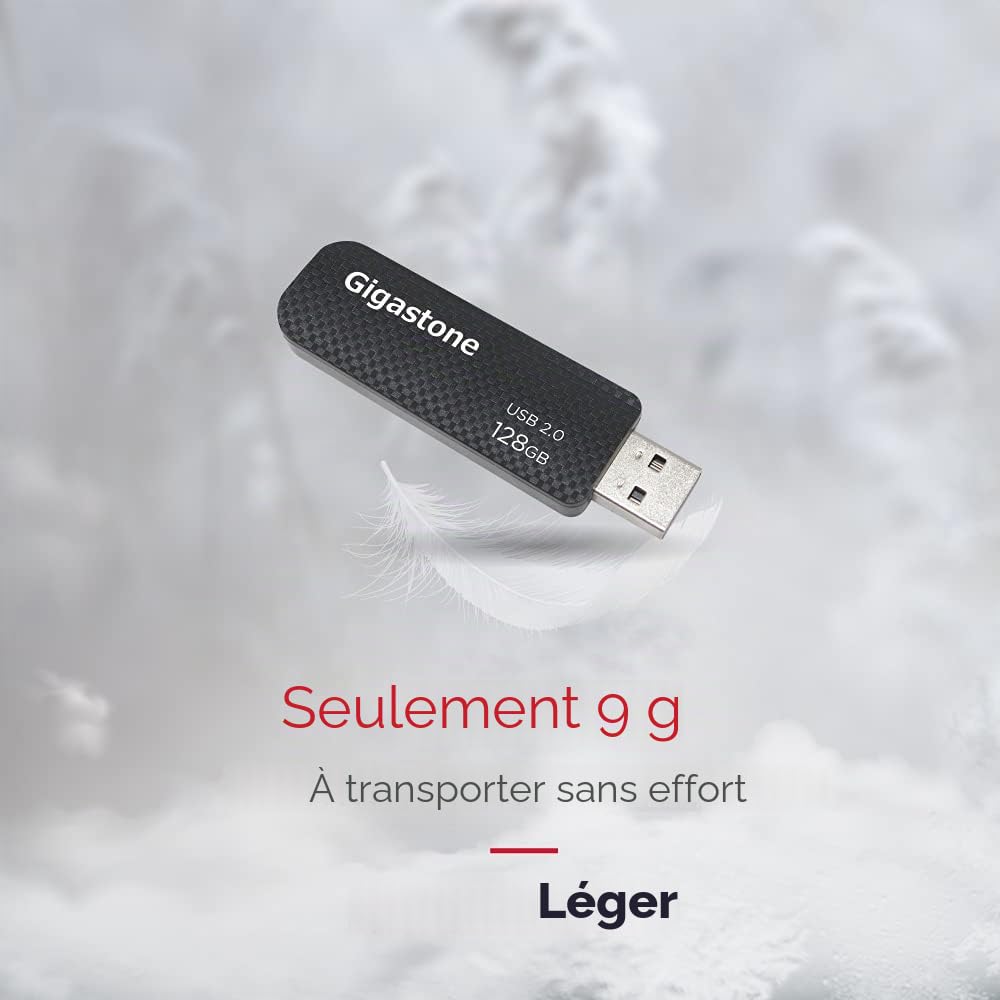 GIGASTONE 128Go Clé USB Flash (Lot de 5) V30 USB 2.0, Haute Vitesse, Boucle Porte-clés, Design Coulissant, Stockage et Sauvegarde pour PC/Mac/TV/Voiture