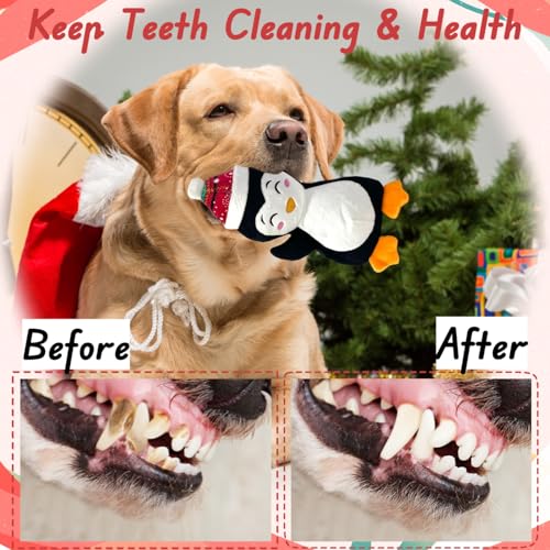 5 Pieces Christmas Squeaky Interactive Dog Toys with Crinkle, Plush Toy to Keep Them Busy for Boredom, Dog Toy for Small Medium Large Dogs - Santa/Penguin/Snowman/Gingerbread Man/Deer - Image 7
