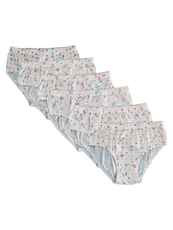 ni2 Women White Panties (Pack of 6)-picture-53