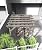GAOMON 10 X 12 FT Wood Pergola, Solid Structure, Retractable Shade Canopy, Outdoor Wooden Pergola for Patio, Backyard, Deck, Garden