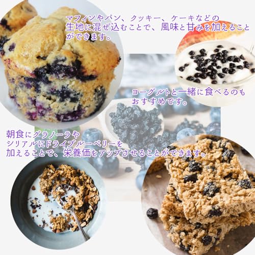 北米産野生種ワイルドブルーベリー100％ドライフルーツ ノンオイル(無油) ブルーベリー 200g《新鮮・自慢の美味さ》 4枚目