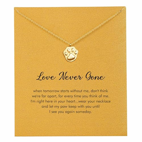 RZKING Dog Memorial Gifts for Loss Of Dog Paw Print Necklace Pet Bereavement Gift (Paw Print)