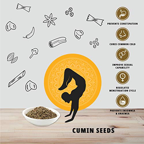 Image of Organature Organic Fresh Cumin Seeds Jeera | Whole Cumin Seeds | Whole Indian Spice | Safaid jeera (400 Grams)