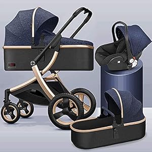 Zhiding Babykar 3 in 1 opvouwbare buggy 69-wheeler, kinderwagen met extra grote luchtwielen, voor kinderen schakelbare fietsen, lange reis voor pasgeboren en peuter (Color : Blue, Size : Gold tube)