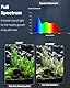 Pawfly 30 cm Aquarium Beleuchtung LED Beleuchtung mit vollem Spektrum Brillant Weiß Blau Rot Grün Lichter LEDs mit D/N Modus Effekte Timer und einstellbare Helligkeit für Süßwasser Aquarien
