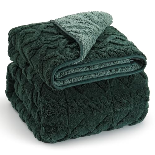 Wemore Weighted Blanket for Adults Twin Size 20 lbs, Dual Sided Soft Fuzzy Jacquard Sherpa Weighted Blankets for Sleeping, Cozy Fluffy Knitted Heavy Blanket for Couch Bed, Dark Green, 60 x 80 inches