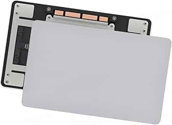 51I66DS8w2L._AC_UF350,