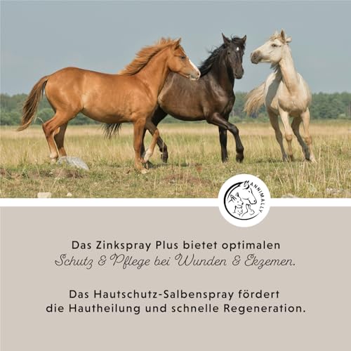 Annimally Zinkspray für Pferde 200ml - Atmungsaktive Wundabdeckung mit Zinkoxid, Lanolin & Allantoin um Abdecken von Wunden - Schutz vor Keimen & Pflege bei Ekzemen
