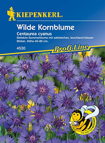 Wilde Kornblume