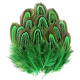 Länge: 4–8 cm 100 Stück/Packung farbige Fasan-Ringhalsfedern, natürliche 4–8 cm, Federborte, DIY-Zubehör, Plumen-Dekoration zum Basteln