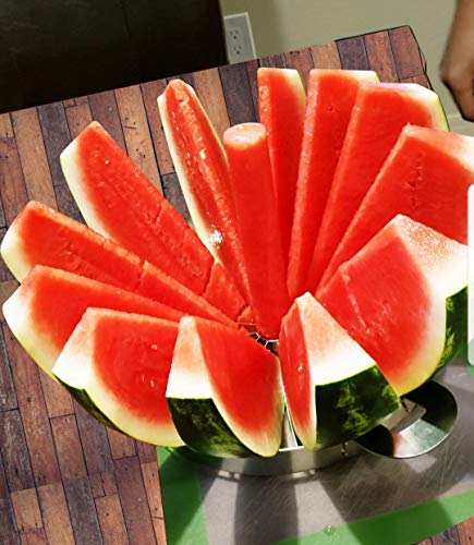 Watermelon Pineapple Fruit Cutter Slicer and Corer Large Stainless Steel 15.7" Multi Functional