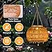 Hanging Solar Outdoor Lanterns Waterproof, Rattan Lights Hanging for Outside, Chandelier Solar Outdoor Idea for Gazebo Pergola Porch Patio Yard Garden Pathway Decor, 2 Pack
