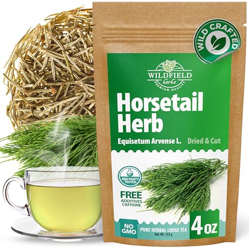 Image of 4 oz. Horsetail Herb Horsetail Tea Cola De Caballo Hierba Horse Tail (Equisetum Arvense) - 113g Herb Tea Horse Tail