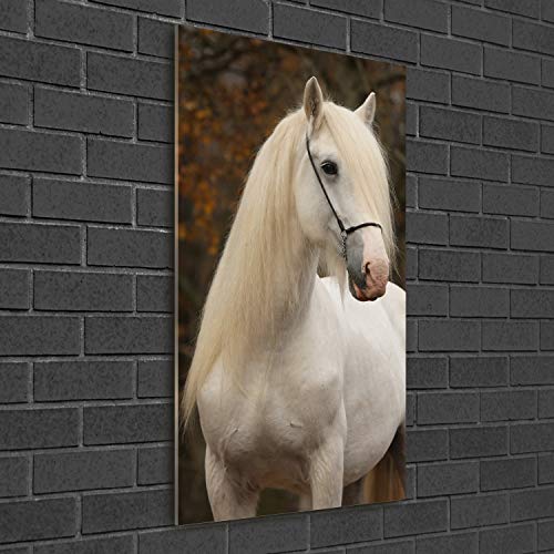 Image sur verre panoramique 50x100 cm tableau cheval blanc