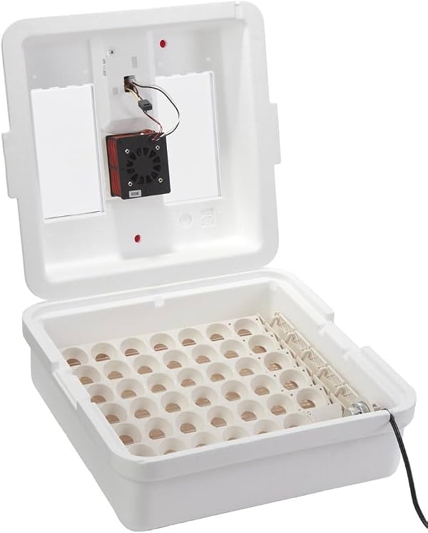 Incubadora digital de aire circulado Little Giant® con volteador automático | Capacidad para 41 huevos | Incubadora para eclosionar huevos de pollo con ventilador y volteador de huevos | Hecha en EE. UU.