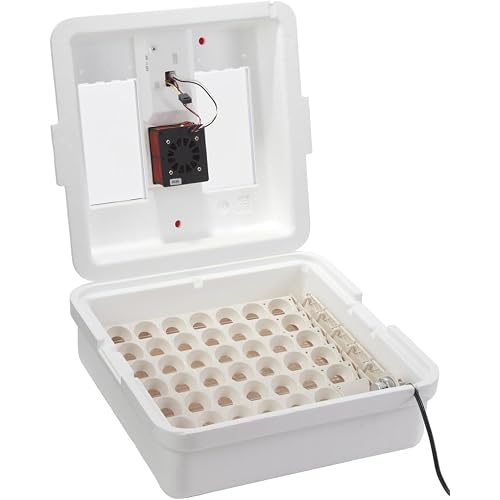 Little Giant® Digital Circulated Air Incubator with Automatic Turner | 41 Egg Capacity | Chick Egg Hatching Incubator with Fan and Egg Turner | Made in USA