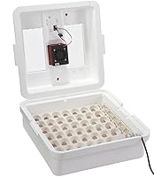 Vista 7 de Incubadora de aire circulado digital Little Giant® 41 huevos Incubadora de huevos con ventilador, control de temperatura y humedad Huevos