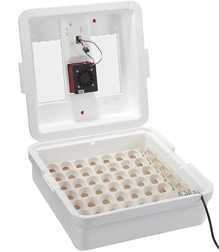 Miniatura 7 de Incubadora de aire circulado digital Little Giant® 41 huevos Incubadora de huevos con ventilador, control de temperatura y humedad Huevos