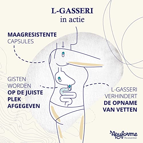 Apyforme - Lactobacillus Gasseri - Probiotica Voor Darmflora - Tot 50 Miljard kve/dag - Maagsapresistente Capsules - 100… - Image 6