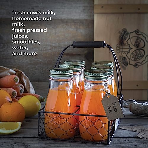 Bormioli Rocco Quattro Stagioni, Set Of 12, Glass Canning Mason Jars And Drinking Bottles, 13.5 Oz. With Gold Metal Airtight Lids, Made In Italy. #TOP2