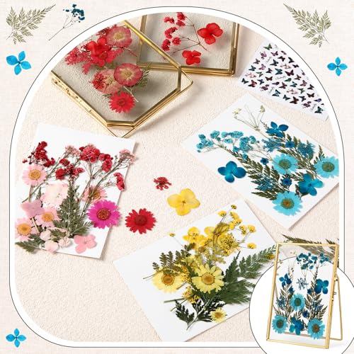 Conjunto de 2 Marcos de Fotos en Vidrio con Flores Secas miniatura 4