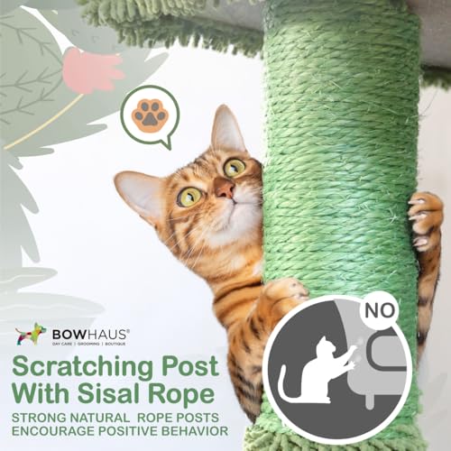 BOWHAUS Árbol Cactus para Gatos multi-niveles 70 pulgadas miniatura 6