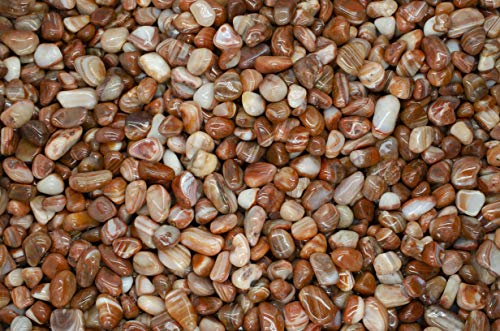 Fantasia Materials: 1 lb Tumbled Sardonyx Stones from Africa - 0.5" to 0.75" avg. - Bulk Natural Polished Gemstone Supplies for Crafts, Reiki, Crystal Healing and More! (Size #5)