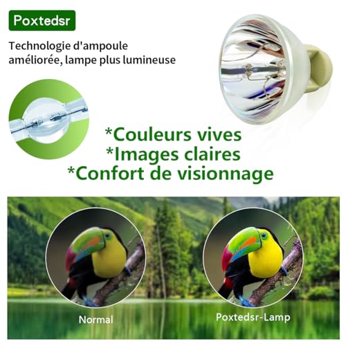 Poxtedsr Replacement Projector Lamp Bulb with Housing Compatible withVIP 180/0.8 E20.8 - Image 3