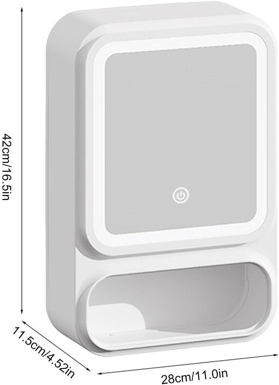 Vanity Mirror Cabinet, Bathroom Storage Organizer, LED Decor with Magnetic Door, Aid for Modern Homes, Home Supplies, Tissue Dispenser for Shampoo Makeup Bedroom Offices Mantel House Daily Routine