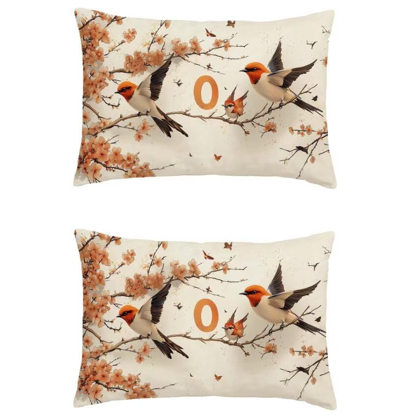 Coussin imperméable 60x80 anti-humidité lot de 2 rectangulaire