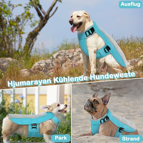 Hjumarayan Kühlweste für Hunde, Kühlweste Hund mit D-Ringe Sommer Kühlmantel für Hunde Kühlgeschirr Atmungsaktiv Kühlende Hundeweste, Hundekühlweste für Heißen Sommertagen, Blau XS