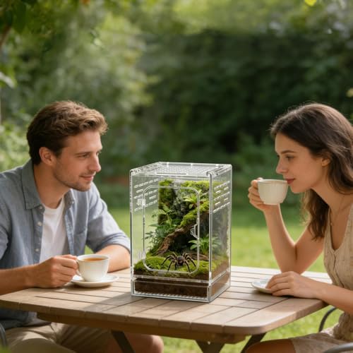 Terrarium araignée sauteuse de qualité supérieure enclos clair pour lézard