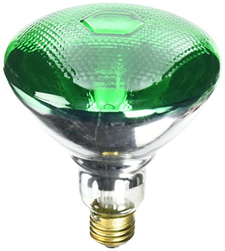 Westinghouse Lighting Green 0441300, 100 Watt, 120 Volt Incandescent BR38 Light Bulb-2000 Hours, 1 Pack