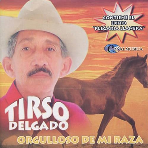 Palmita Real Del Estero