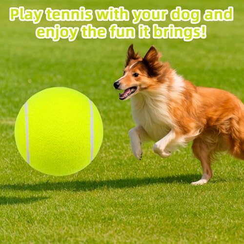 24cm Riesen Hüteball für Hunde, Extra Großer Tennisball für Hunde mit Pumpe und 2 Nadeln Spaß Apportier und Trainingsball for Haustiere Outdoor Spielzeug