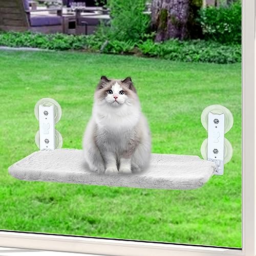 Best Cat Window Perches Beds in 2023 Ultimate Overview