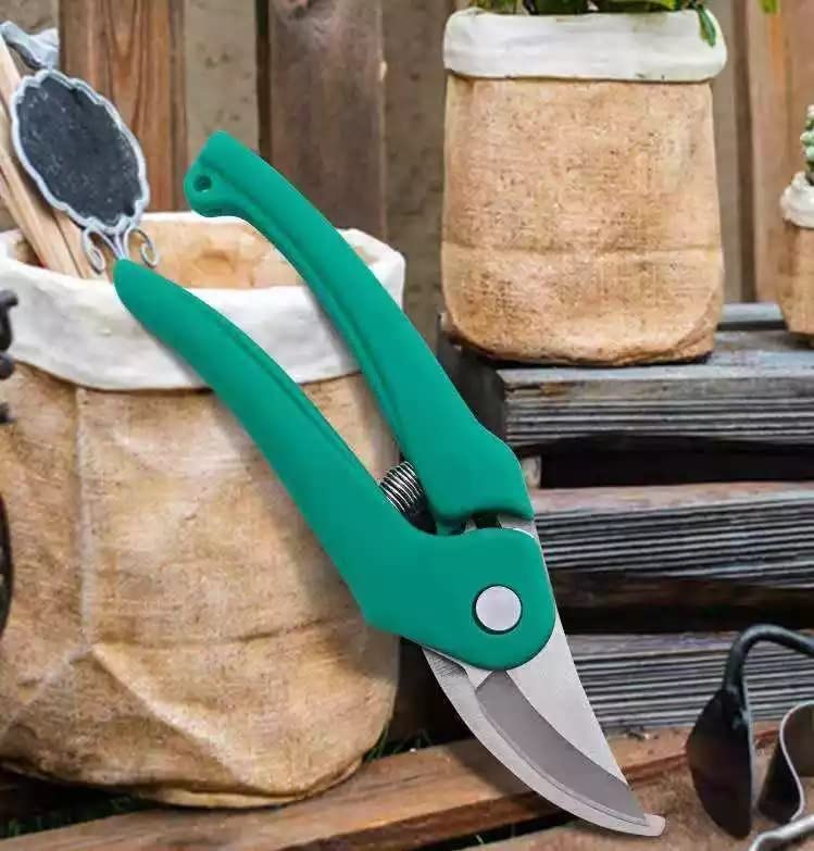 Polygon Green� Garden Plant Branch Scissors Flower Cutting Cutter Pruning Bypass Secateurs Trimmer Carbon Steel Blade with Lock (1pc) (B0BPJNHFR4) Amazon Price History, Amazon Price Tracker