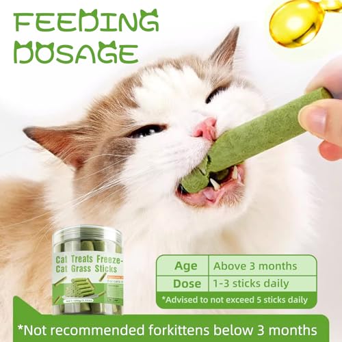 100g Cat Grass Teething Stick for Cat Kittens Hairball Removal, Natural Dried Cat Grass Treats Snacks, Edible Cat Chew Sticks Toys, Pet Snacks for Cat Dental Care, Increase Appetite - Image 3
