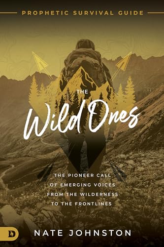 The Wild Ones view 2
