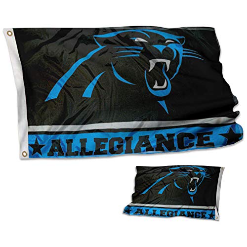 Carolina Panthers Double Sided Allegiance Flag