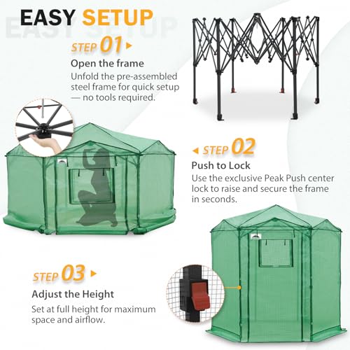 Image of EAGLE PEAK 6.6x6.6 Easy Setup Pop Up Greenhouse, Hexagon, Clear /Green