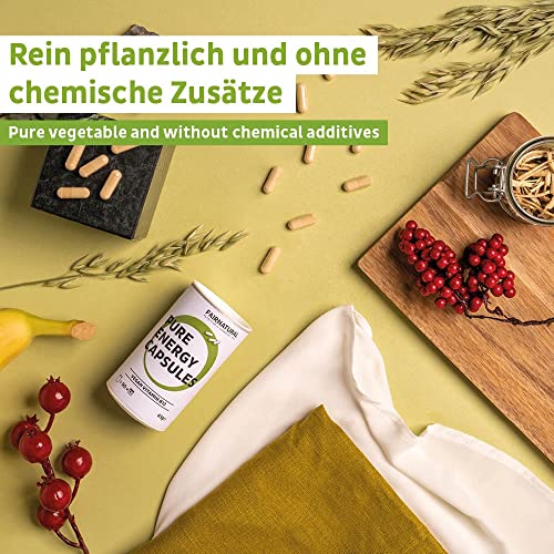Fairnatural Premium Vegan Vitamin B12 mit hoher Bioverfügbarkeit [Regional aus Deutschland] 90 Kapseln | Hochwertig, clean, vegan & hochdosiert