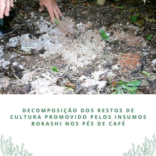 PlantaeFert Bokashi Premium Adubo Orgânico Com micro-organismos eficientes 1kg