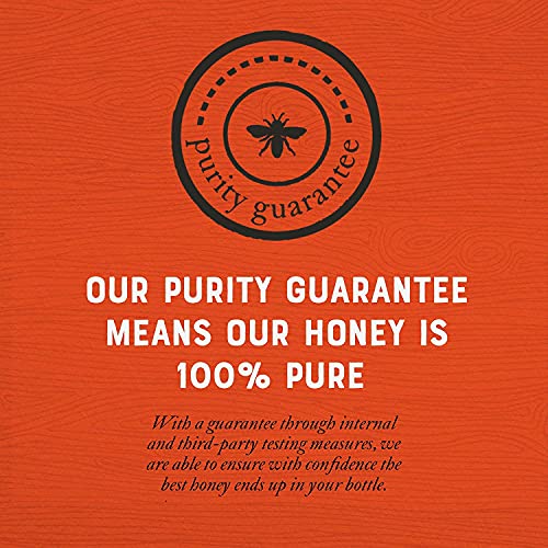Nature Nate's 100% Pure, Raw & Unfiltered Honey, 16 Oz. Squeeze Bottle; All-Natural Sweetener, No Additives + Honey Minis Packets, Bag – Single Serve 14 G Per Packet, 0.33 Fl Oz (Pack Of 20) #TOP4