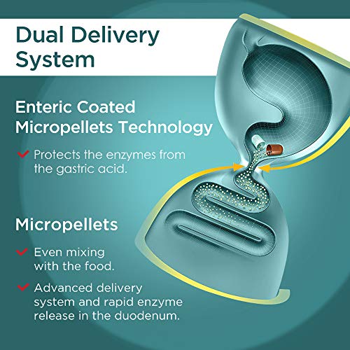 Micrazym Ultra High-Strength Pancreatic Enzymes